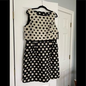 Tahari by Arthur Levine Dress.